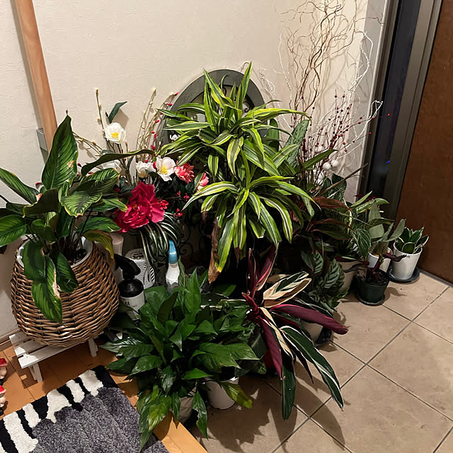 yukarin-gardenさんの実例写真