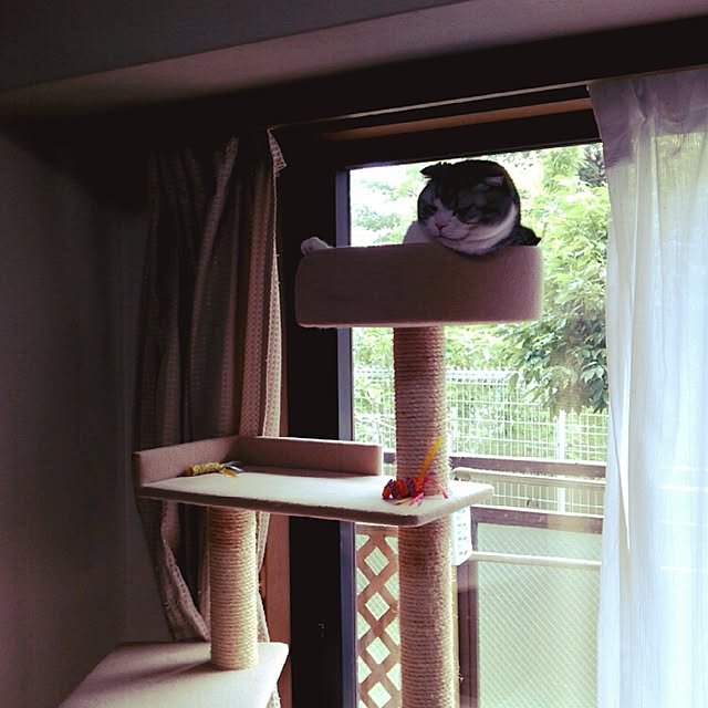 mami_fancyさんの実例写真