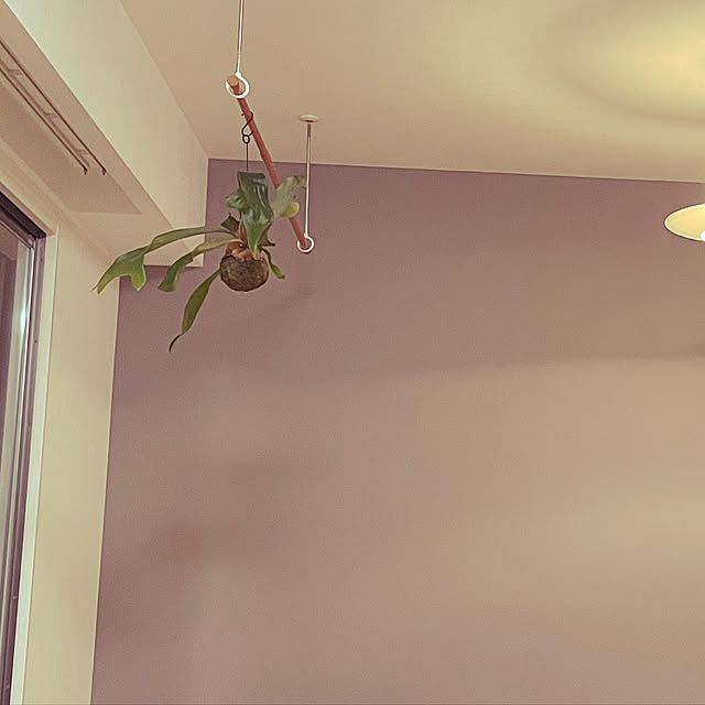 観葉植物/部屋全体のインテリア実例 - 2021-05-05 08:59:37
