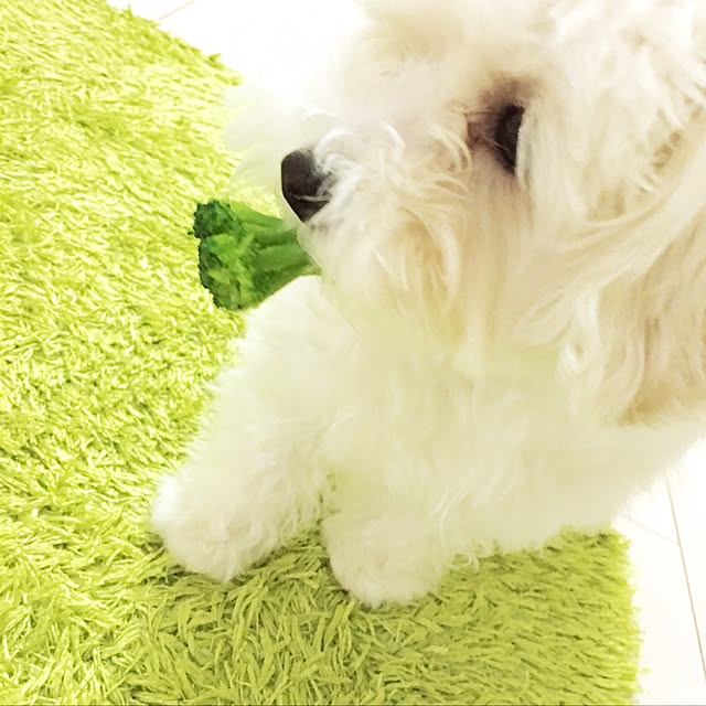 Mopmamaさんの実例写真