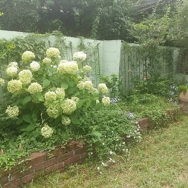 Rさんの部屋