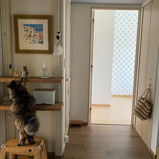 mikomaruさんの実例写真