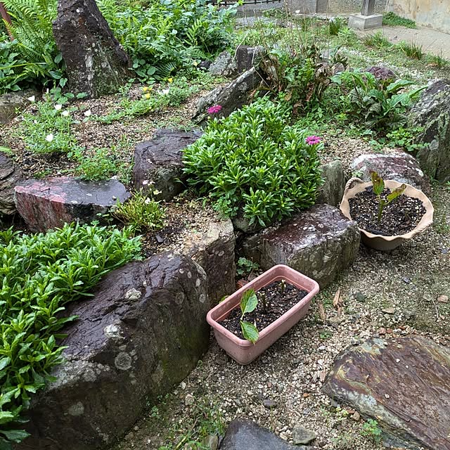kuririnmamaさんの部屋