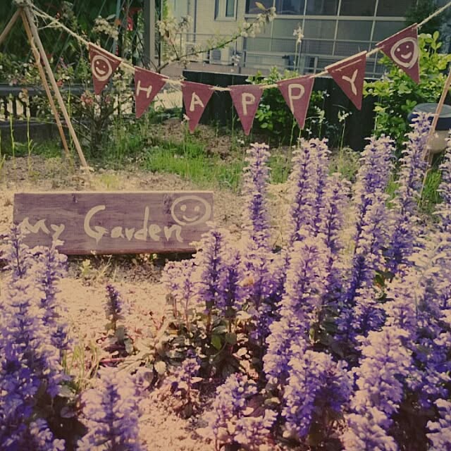 aoaorararaさんの実例写真