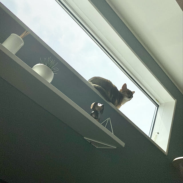 daisyさんの実例写真
