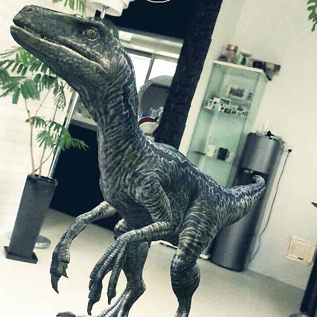 meco8さんの実例写真