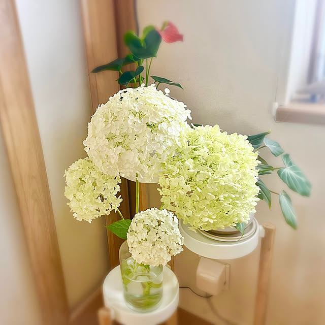 saahannさんの実例写真