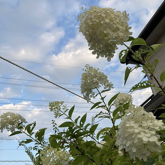 min_nimさんの実例写真