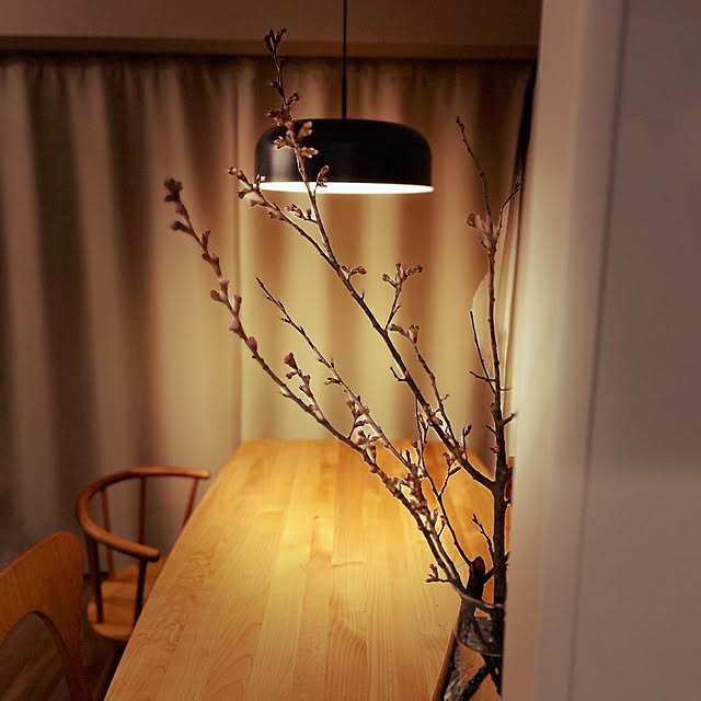 Anthuriumさんの部屋