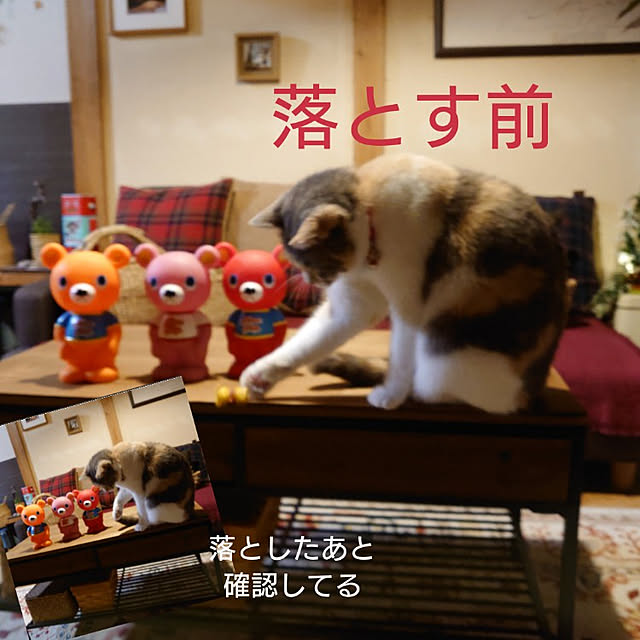 fukuさんの実例写真