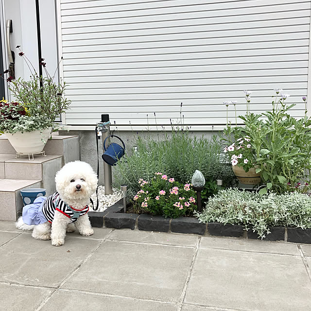 unichanさんの実例写真