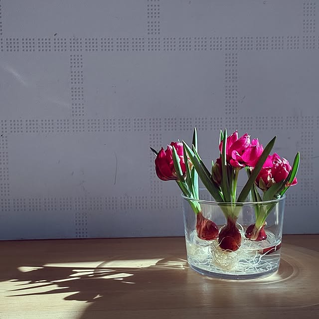 t.yumiさんの実例写真