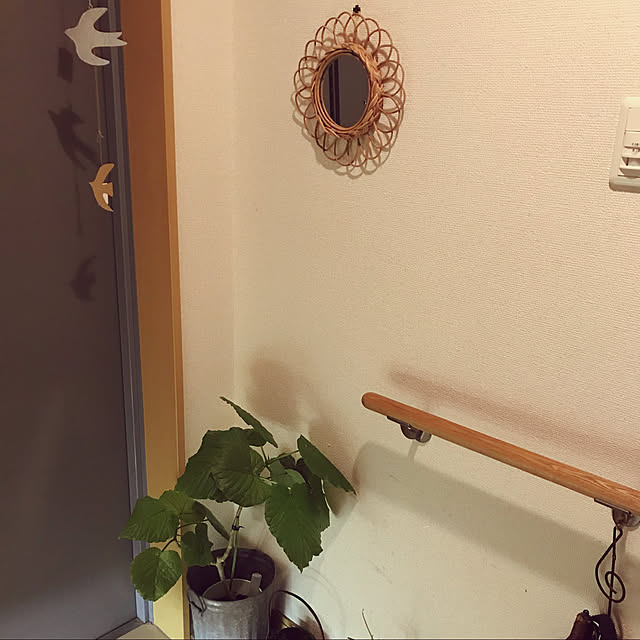cagosukiさんの実例写真