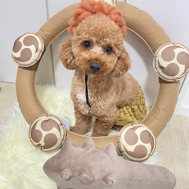 meronkunさんの実例写真
