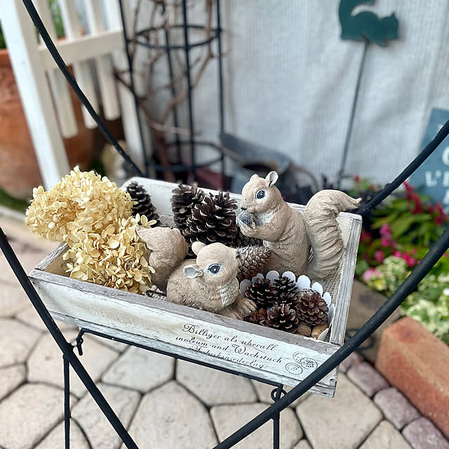 Ma-saさんの部屋