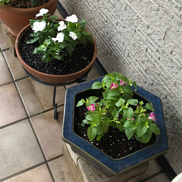 teraさんの部屋