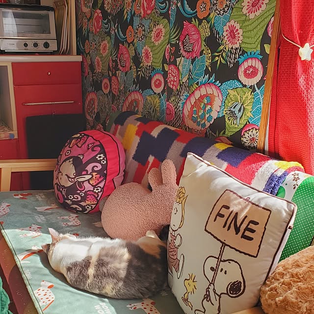 kumutanさんの実例写真