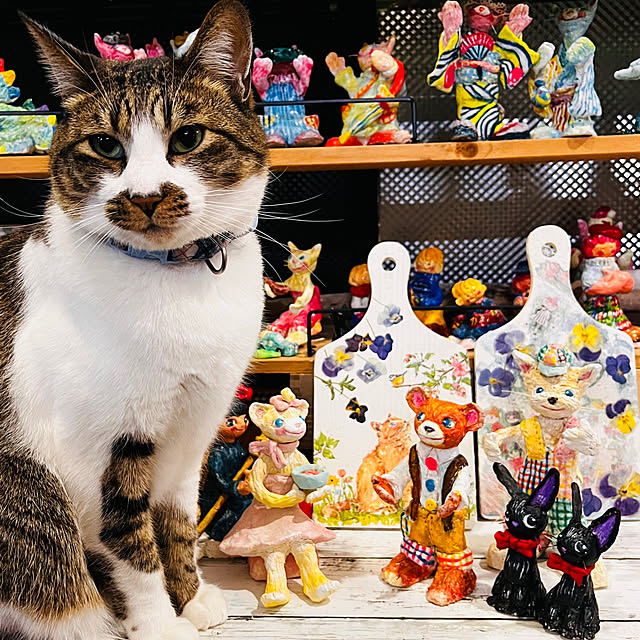 jijiさんの実例写真