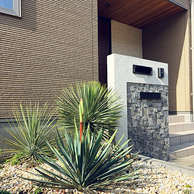 XIANさんの実例写真