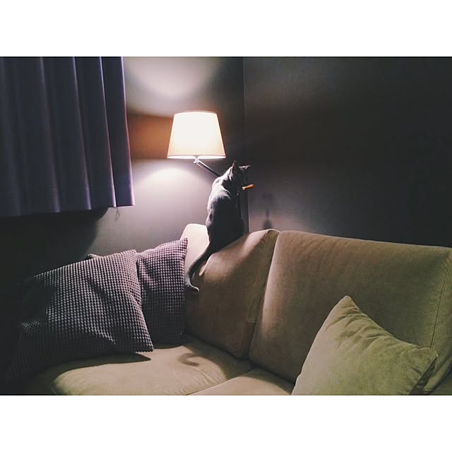 NOAHさんの実例写真