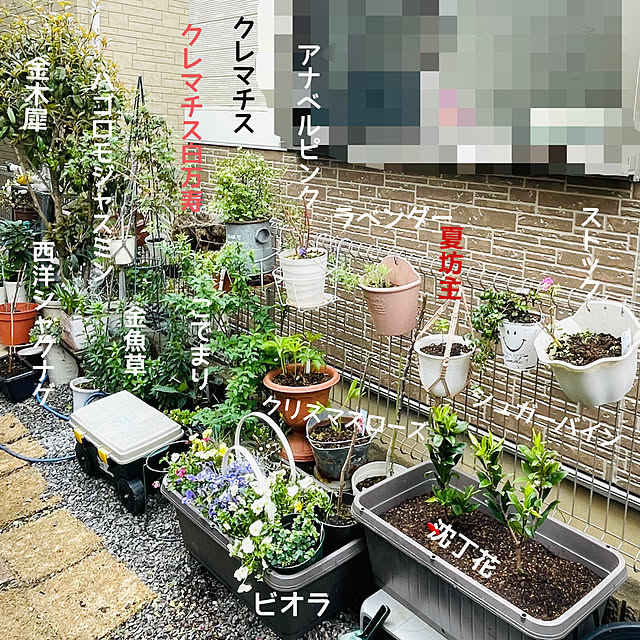 mo-nosukeさんの実例写真