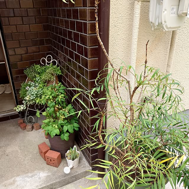 JUNKOさんの部屋
