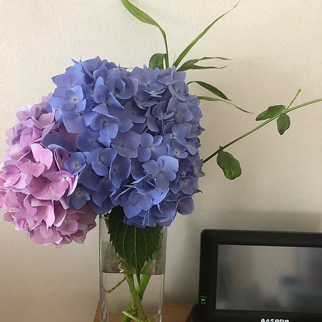 xiaohuai7788さんの実例写真