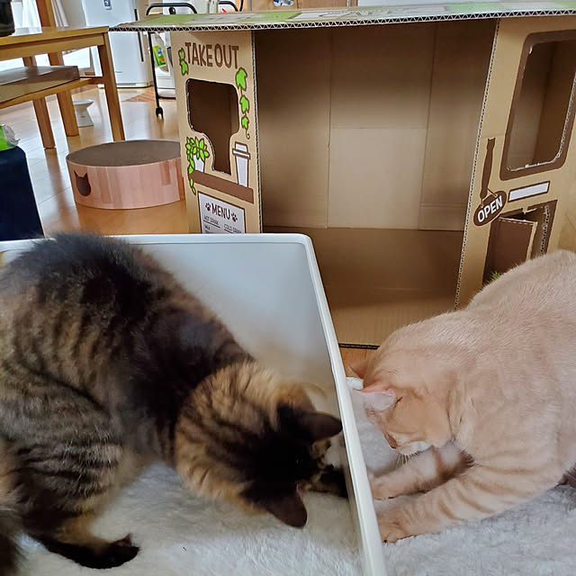 makoさんの実例写真
