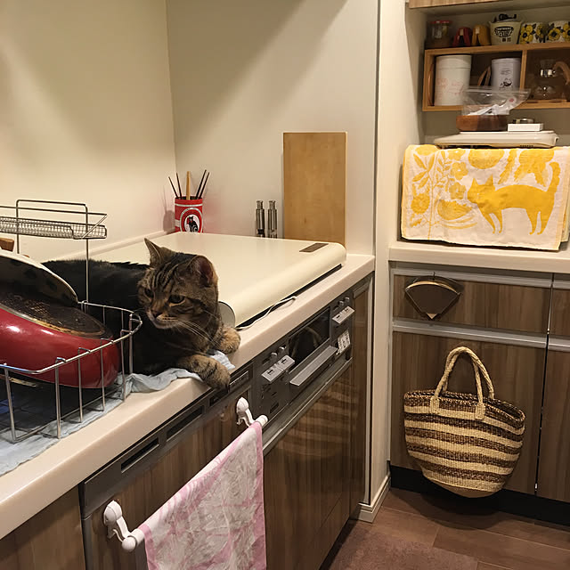 mikomaruさんの実例写真