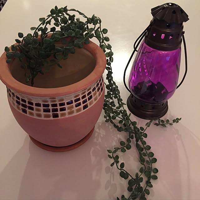 cantikさんの実例写真