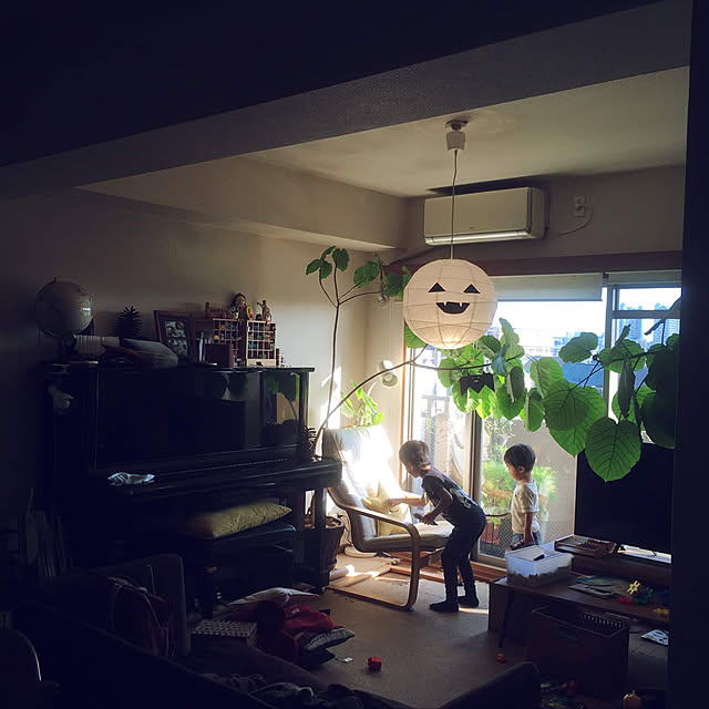 cottoncottonさんの実例写真