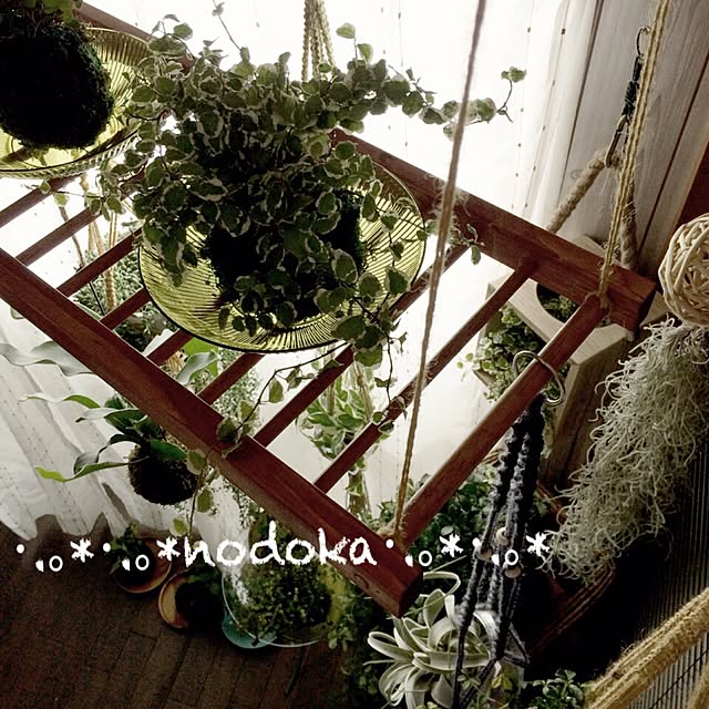 nodokaさんの実例写真