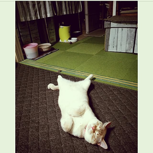 mntcさんの実例写真