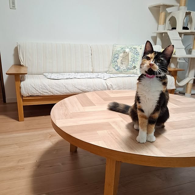 m.m.mさんの実例写真