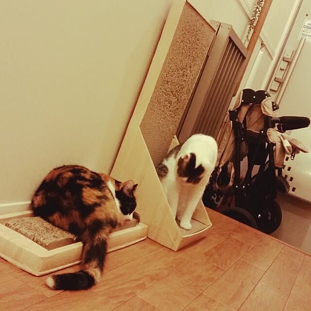 h_y.j77さんの実例写真