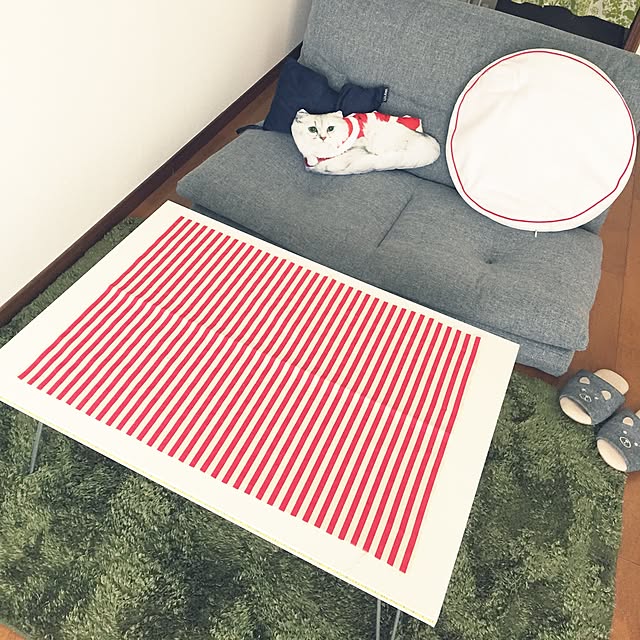 Namiさんの実例写真