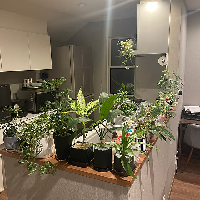 ikuzakさんの部屋