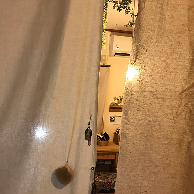 sakuさんの実例写真