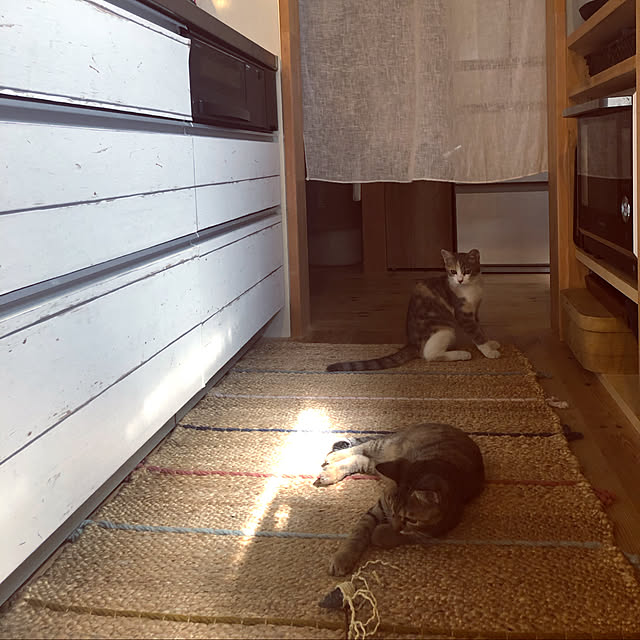 takakoさんの実例写真