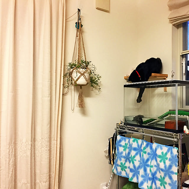 nanaさんの実例写真