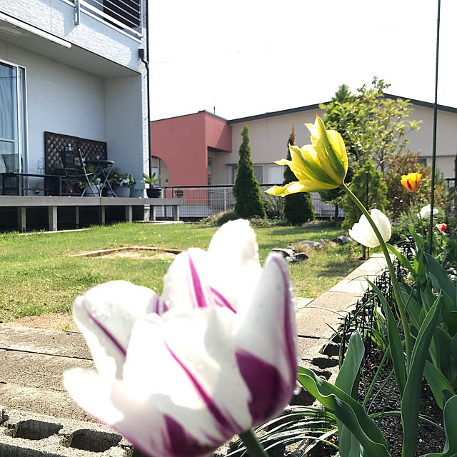 Saorinさんの実例写真