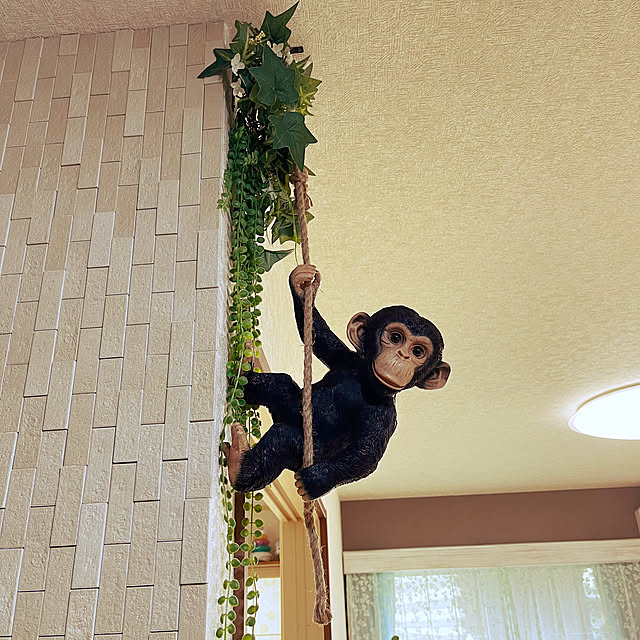 Samさんの実例写真