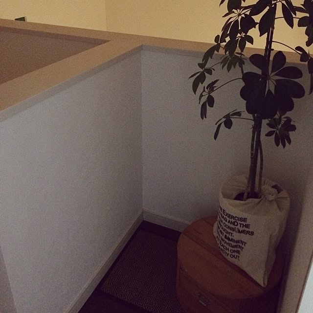 ayuさんの実例写真