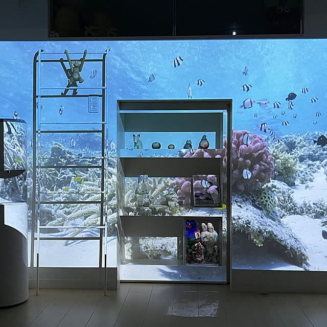 koroさんの実例写真