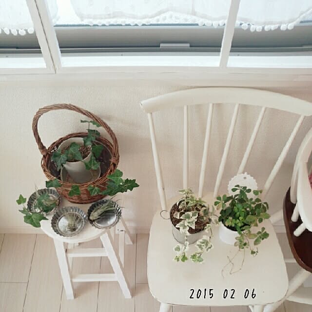 Su-san-chiさんの実例写真