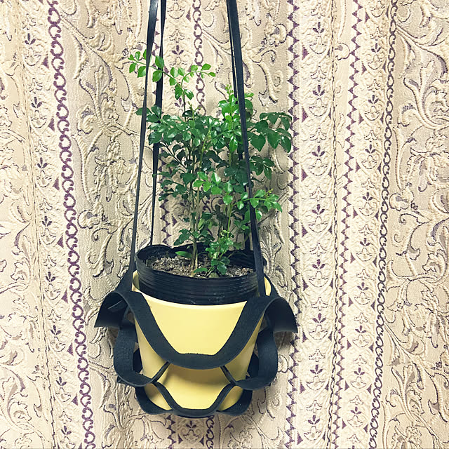 Kumikoさんの実例写真