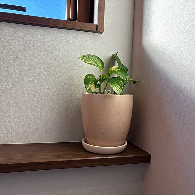 ponponcooさんの部屋