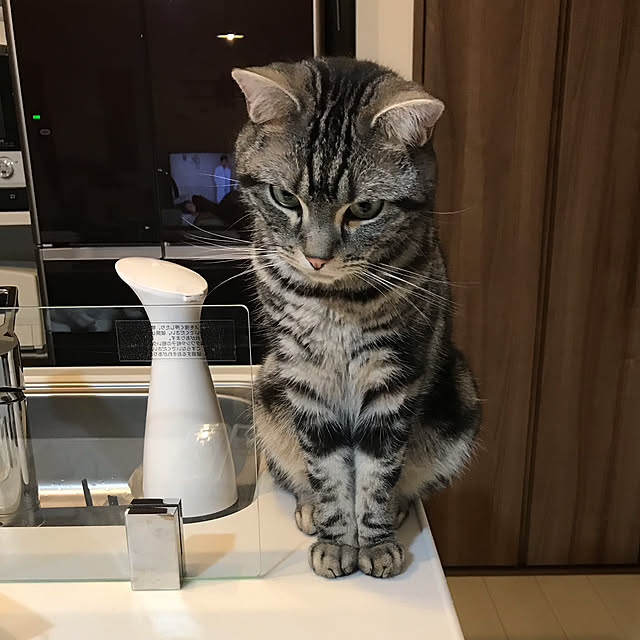 KotarouKunさんの実例写真
