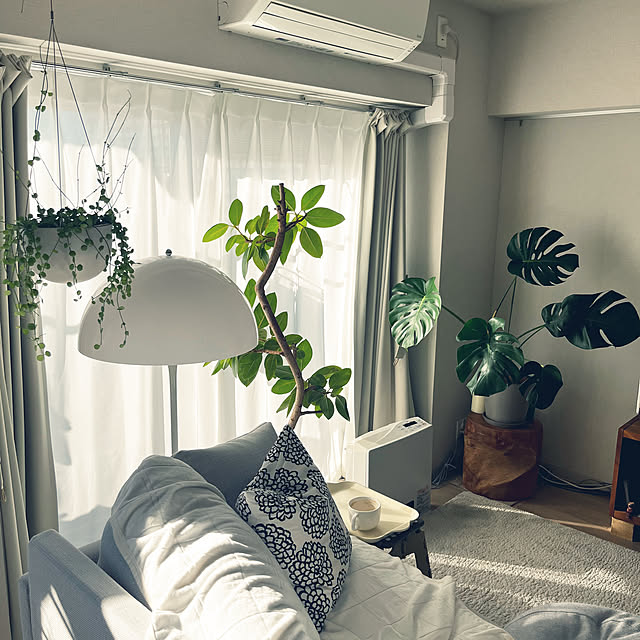 nagyさんの実例写真