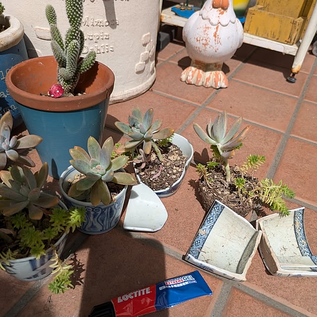 prepreさんの部屋